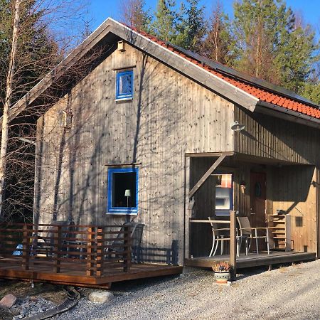 Mysig Och Modern Stuga Pa Snoegard, Naera Havet Och Naturen Lur  エクステリア 写真