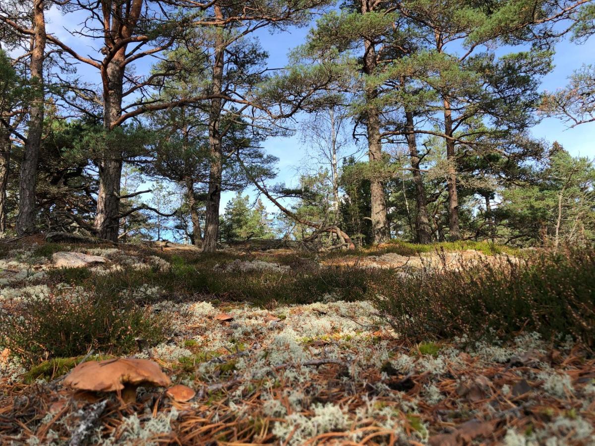 Mysig Och Modern Stuga Pa Snoegard, Naera Havet Och Naturen Lur  エクステリア 写真