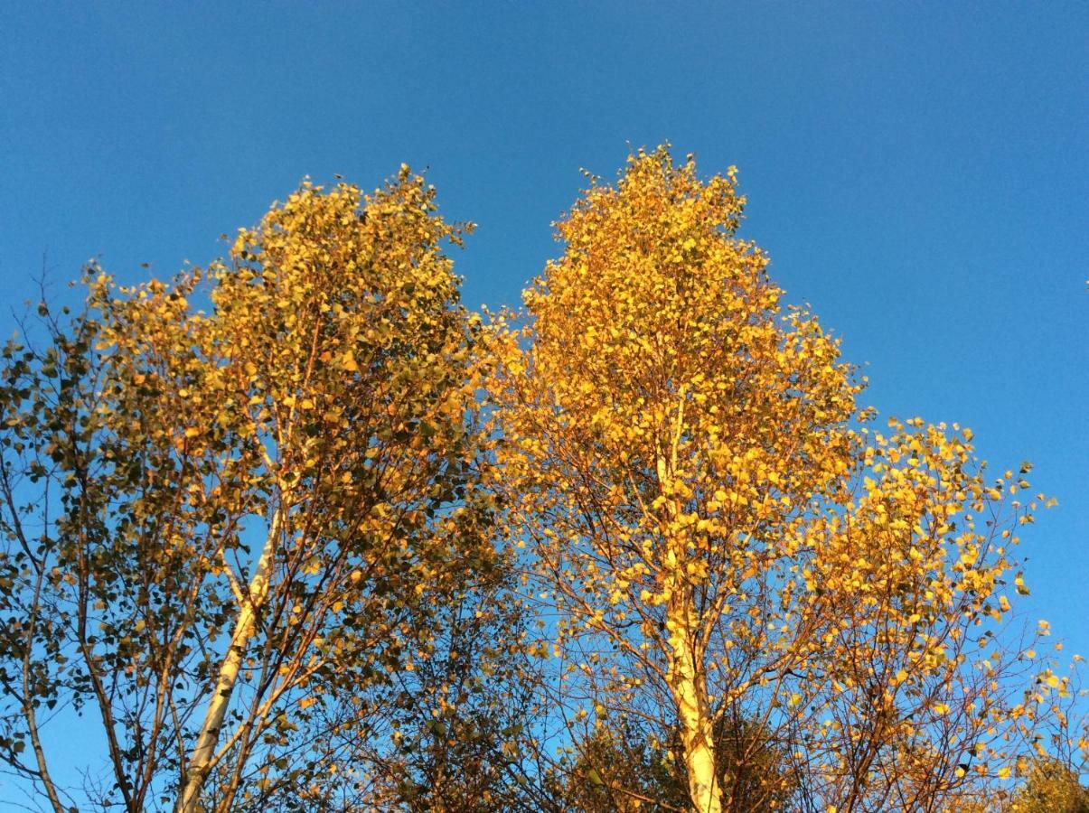 Mysig Och Modern Stuga Pa Snoegard, Naera Havet Och Naturen Lur  エクステリア 写真