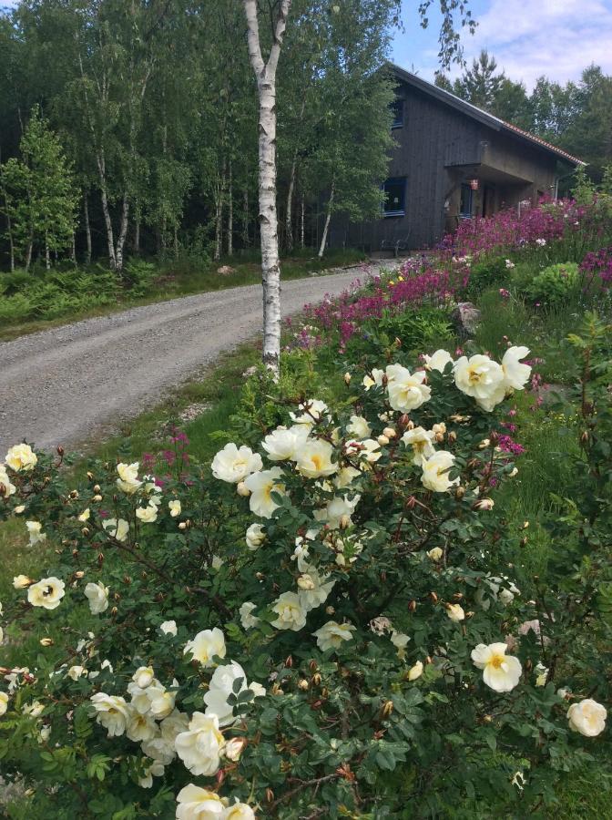 Mysig Och Modern Stuga Pa Snoegard, Naera Havet Och Naturen Lur  エクステリア 写真